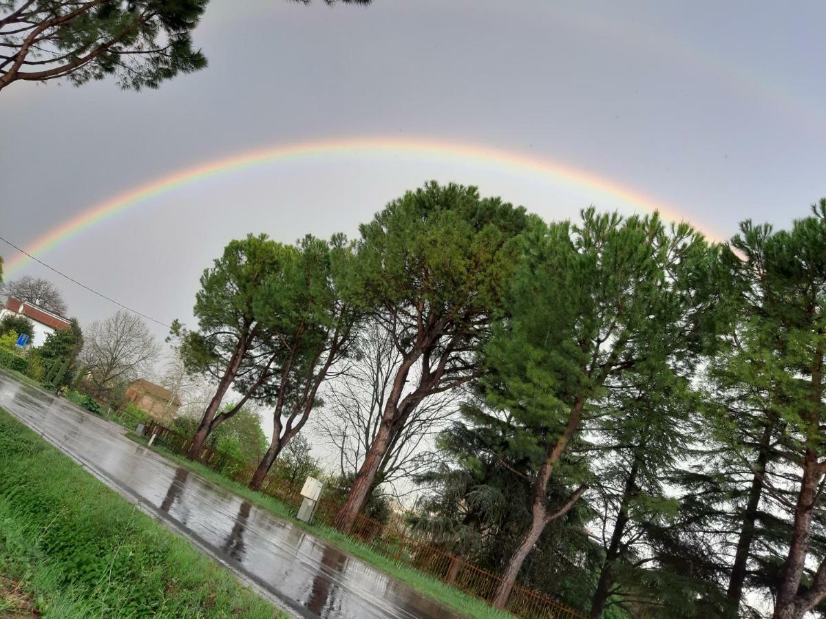 Bella Vista Daire Tossignano Dış mekan fotoğraf